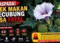 Efek Makan Kecubung