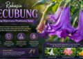 Kecubung Wulun