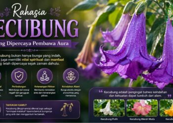 Kecubung Wulun