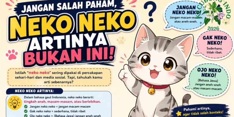 Neko Neko Artinya
