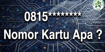 0815 Kartu Apa
