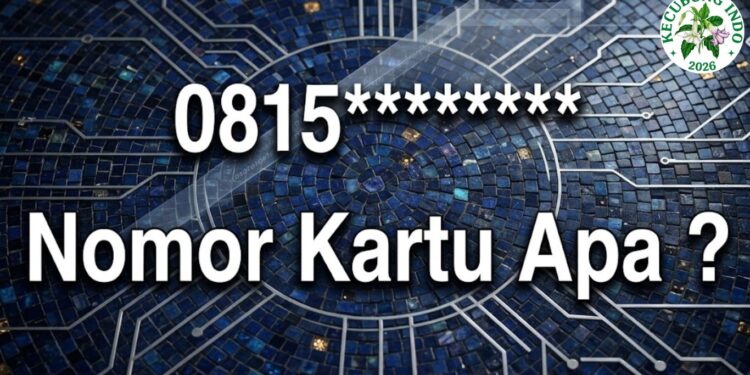 0815 Kartu Apa